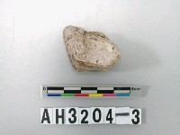 藏品(石英石核)的圖片